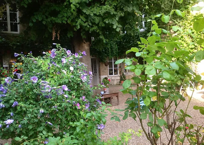 Chambres D'Hôtes La Villa Aliénor Les Andelys