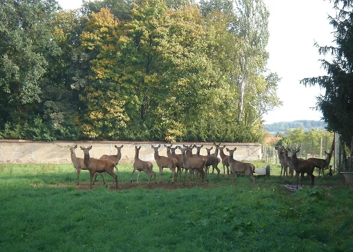 La Ferme Aux Biches Bed and Breakfast Commelle-Vernay