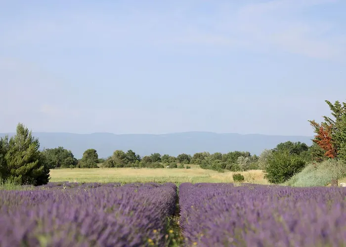 Le Clos Les Eydins Bonnieux