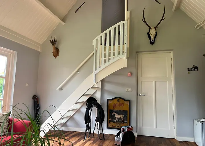 Horse And Hound Bed and Breakfast Riethoven