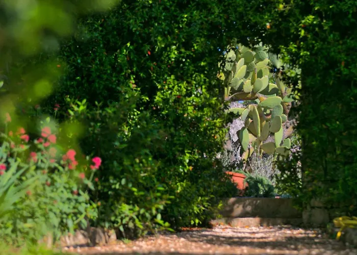 Masseria Trullo Sovrano Exclusive B&B Cisternino