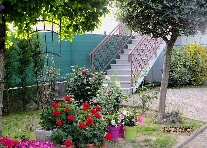 Bed and Breakfast 5 Palme Terzo d' Aquileia