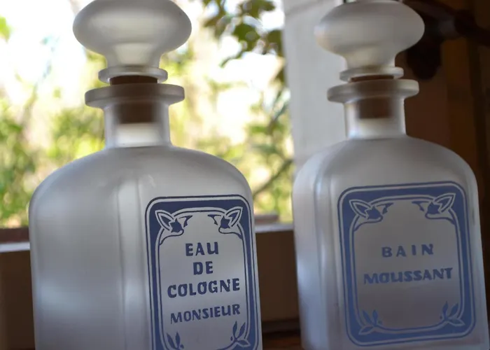 Maison d'Hôtes La Chouanniere Les Bois-d'Anjou