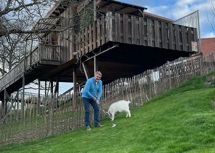 Cabane dans les arbres / Swin-golf de Cremin