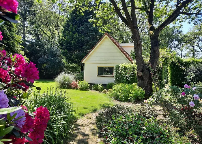 De Boogschutter - Kersenboom Bed and Breakfast Langenboom