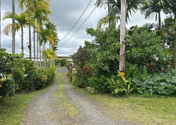 Hawaiian Ohana Home Hilo