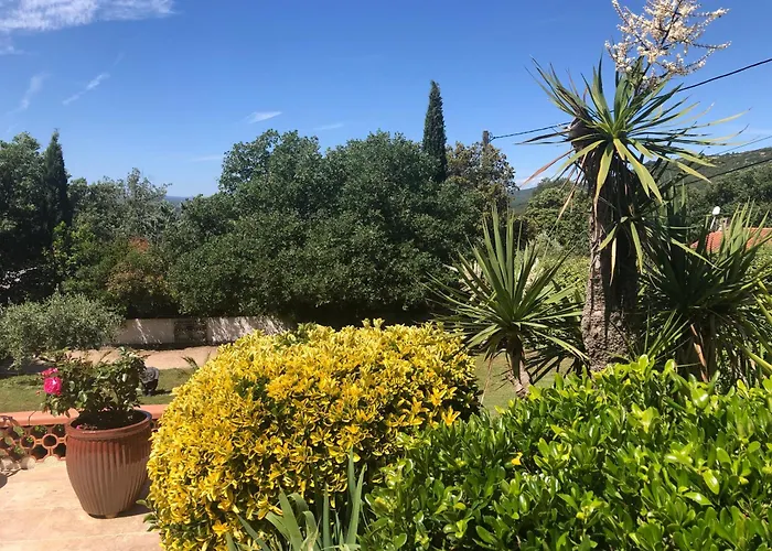 Villa Quinissole Sainte-Anastasie-sur-Issole