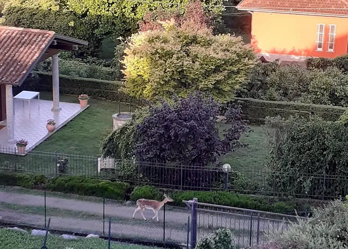 B&B La Civetta