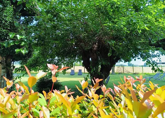 B&B Casa Del Bosco San Michele al Tagliamento