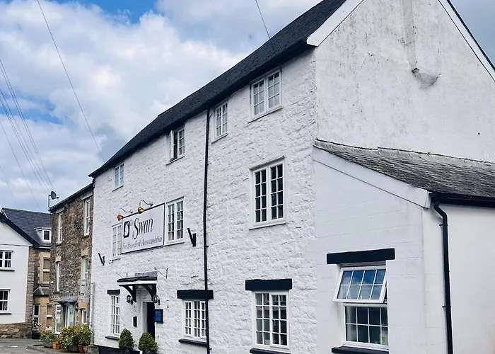 The Swan