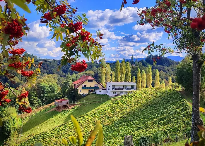 Weingut Winzerzimmer Toso