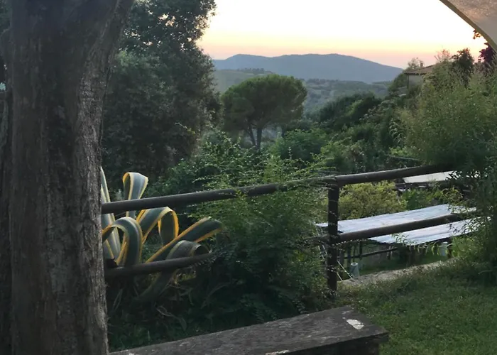 Bed and Breakfast Il Mandorlo Montecorice