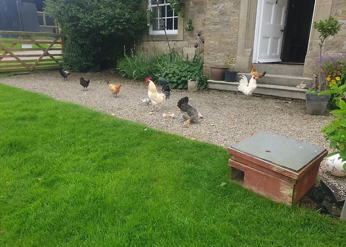 Low Gingerfield Farm B&B
