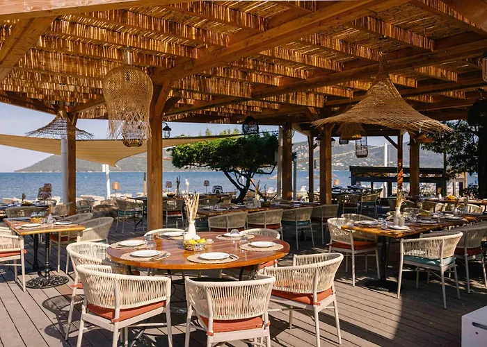 Hôtel Marina Corsica