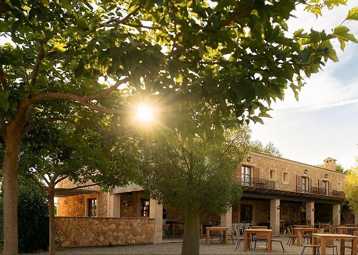 La Farm Baleares (Adults Only) Bed and Breakfast Santa Maria del Cami 