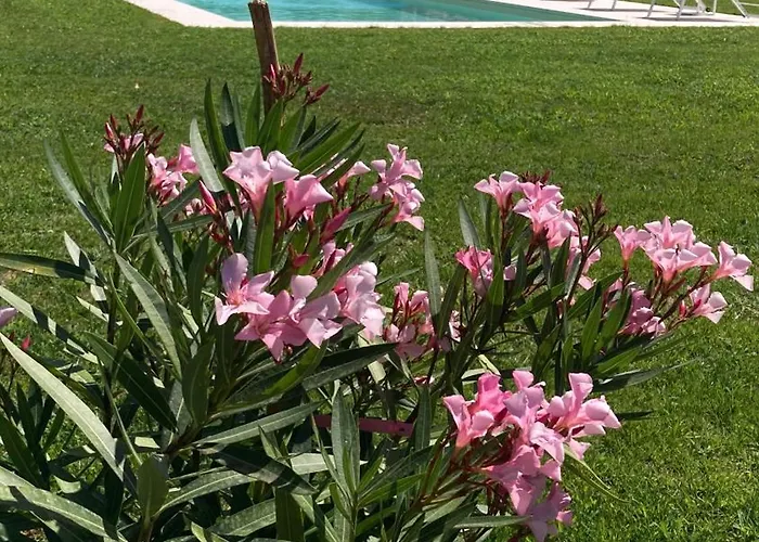 B&B Campagnon Valpolicella SantʼAmbrogio di Valpolicella