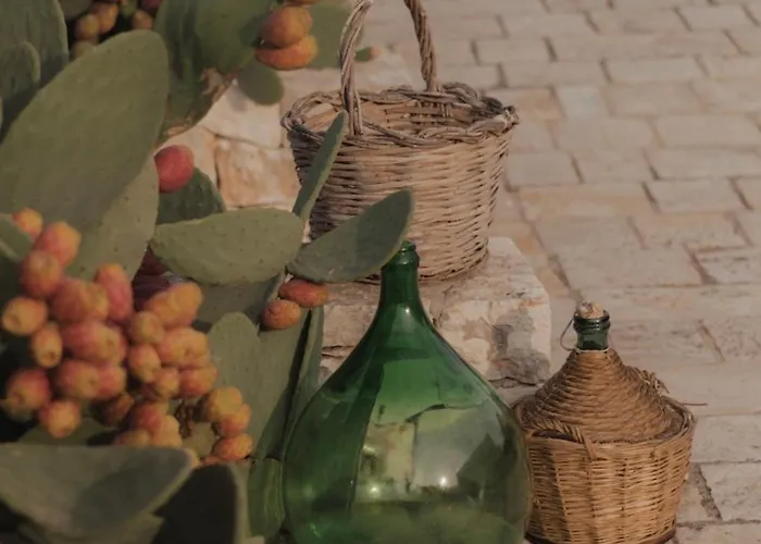 Bed and Breakfast Dimora Le Ginestre Adults Only Fasano