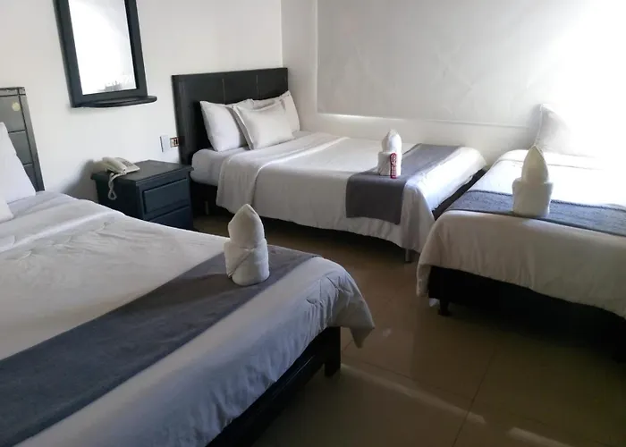 Laguna 24