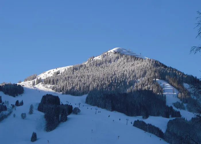 Hotel-Pension Flora Saalbach-Hinterglemm