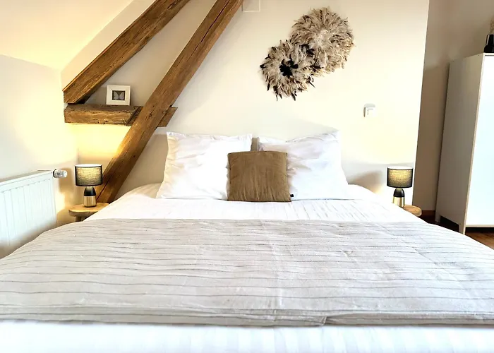 Bed and Breakfast Le Moulin d Olivet à Orbigny