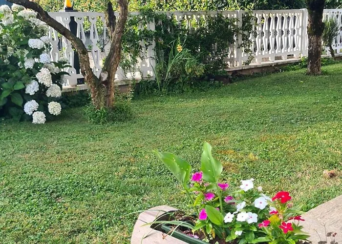 B&B Le Betulle Cardano Al Campo