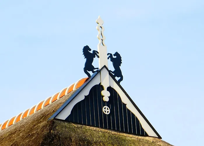 The Black Horse B&B & More Drachten