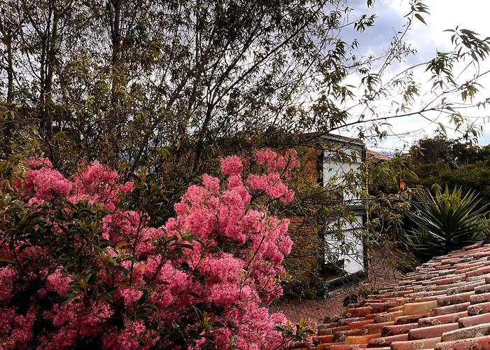 Casa Lloret Cuenca