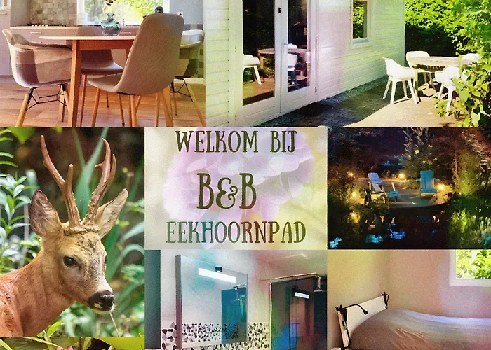 B&B Eekhoornpad