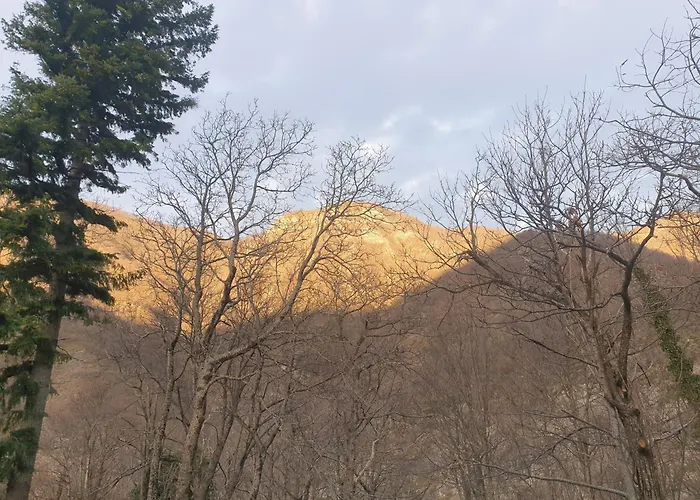 Locanda In Montagna Da Emili&Gabriel Lizzano In Belvedere