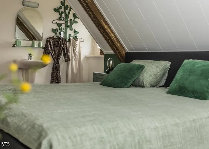 Onder De Wolfskap Bed En Ontbijt