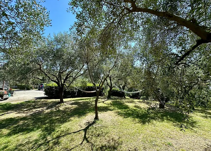 Agriturismo Uliveto Bartolomeo Sestri Levante