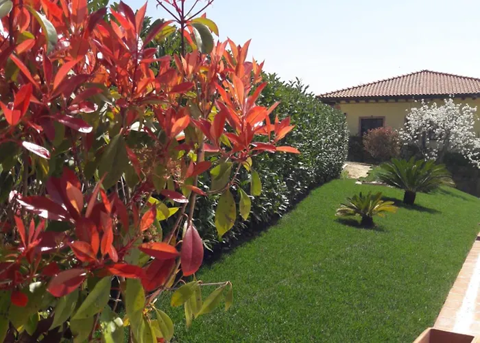 Tenuta la Ginestra Ornaro