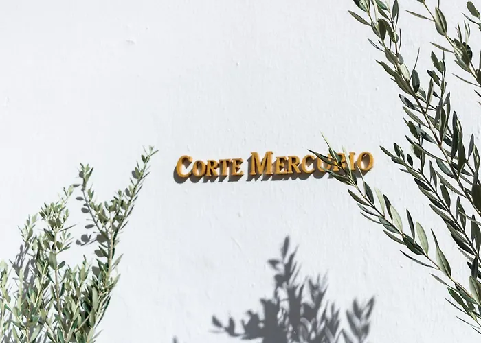 Corte Mercurio B&B Ugento