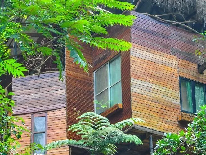 Bed and Breakfast Jungle Tree House Rangala Kandy