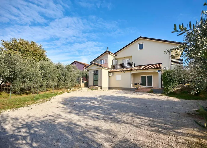 B&B Dia Murine