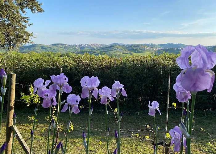 Relais Casamassima Bed & Breakfast Perugia