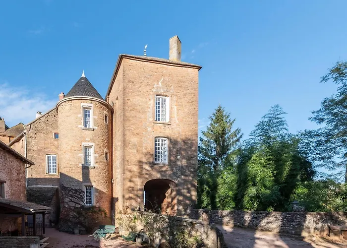 Château De Salornay