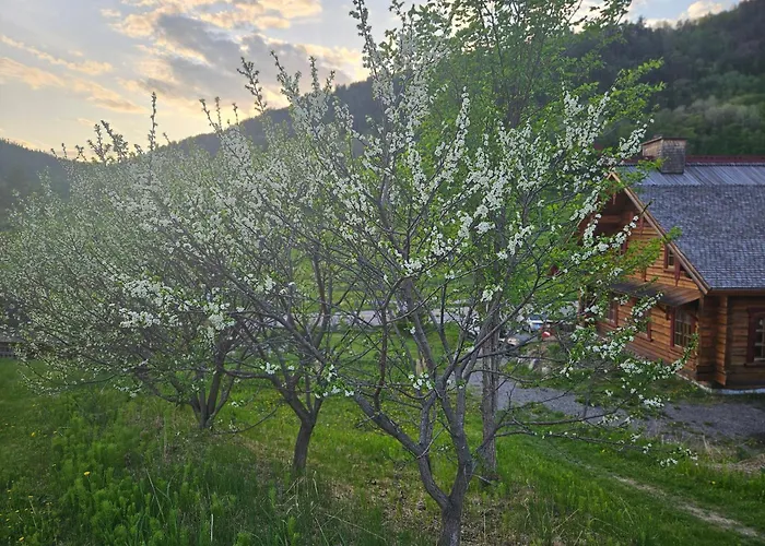Le Repaire Viking Bed & Breakfast Sainte-Rose-du-Nord