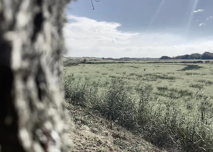 Wiltsangh Texel Tuinsuite Black De Waal