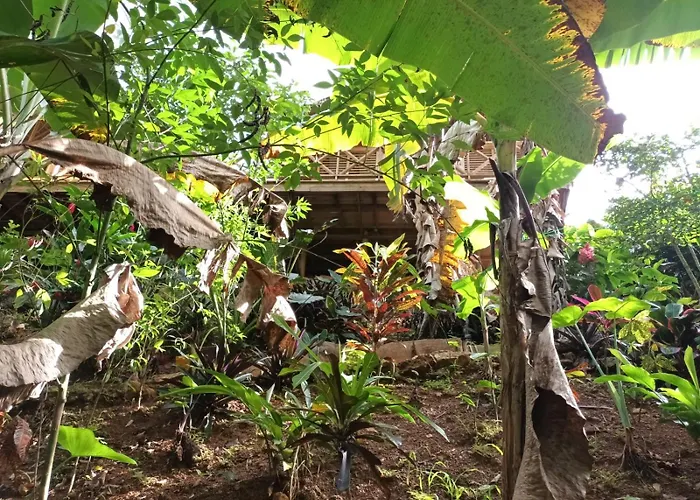 Samo Eco Lodge Las Terrenas