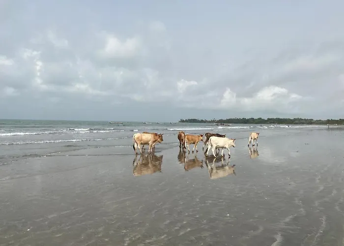 Flamingo Beach Sanyang