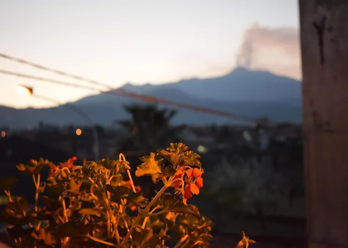 B&B L' Aquila dell' Etna Santa Venerina