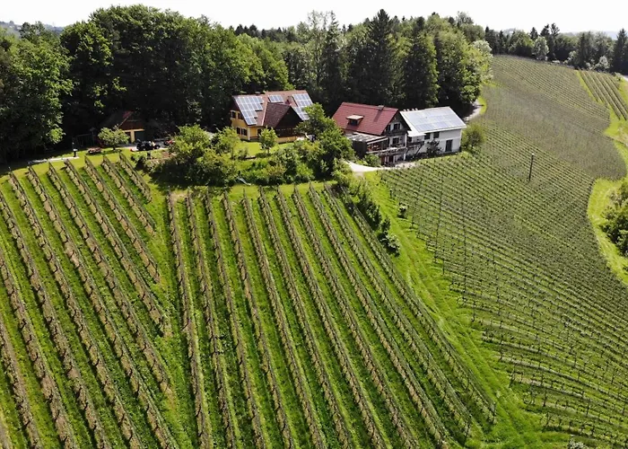 Weingut SpitzyPeitler