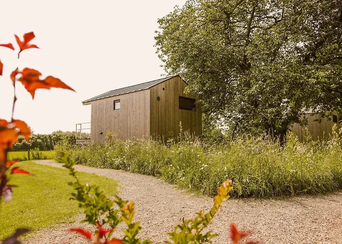 Boutiquehotel & Tiny Houses Plek17 Milsbeek