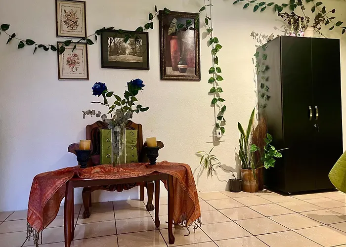 The Enchanted Forest inside The Alchemist Café - Shuttle services available Antigua