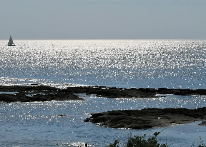 Vitamin Sea La Turballe