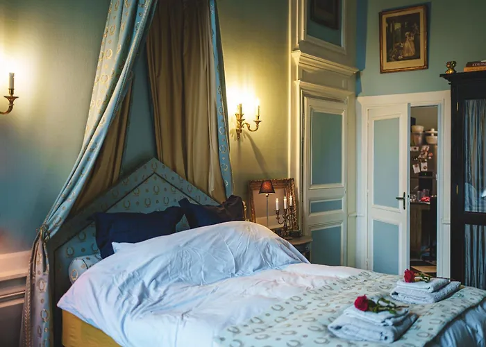 Hôtel particulier Hôtel Blancler Saumur