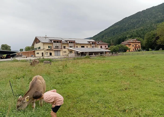 Maso Torbiera- Rural&Mountain lodging Fiavè