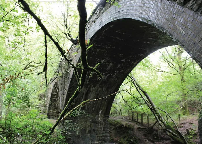 Afon Rhaiadr Country House