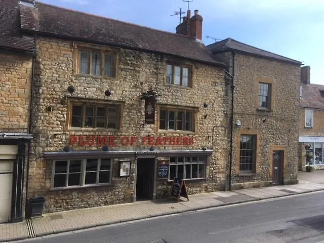 The Plume Of Feathers